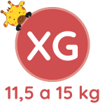 XG